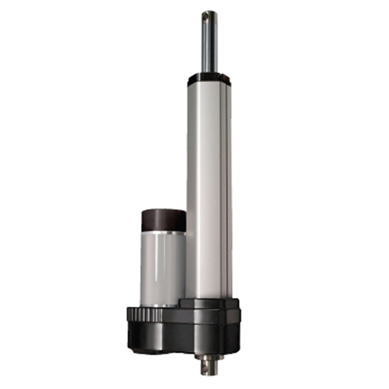 CMLA A Series - 500 lbs-image